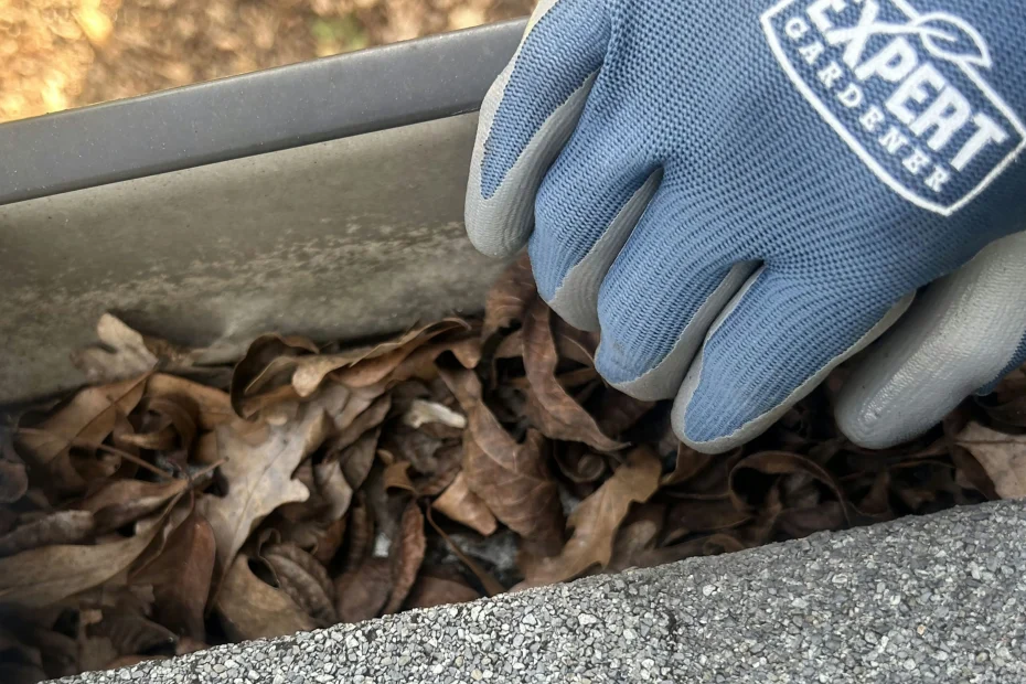 Gutter Cleaning Kennett Square